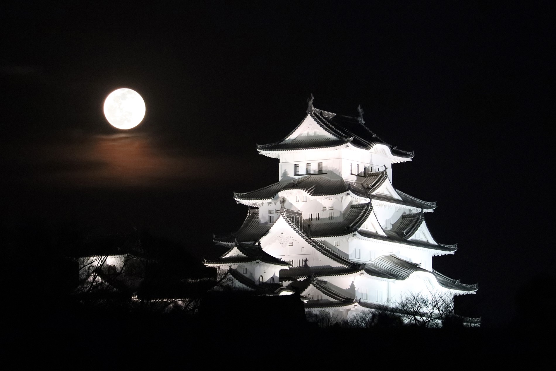 姫路城と満月