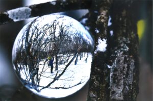 優秀賞「見いつけた！」後藤 俶子（富田林支部）