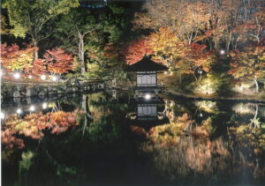 入選「晩秋の紅葉渓庭園」奥 智香子（和歌山支部）